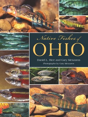 cover image of Native Fishes of Ohio